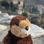 Photo taken by Don W