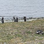 Photo taken by Karen L