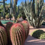 Photo taken by Lisa D