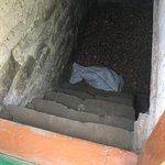 Potato cellar | Photo taken by Barbara D