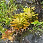 Photo taken by Harshida P