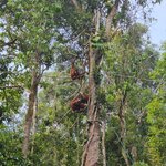 Photo taken by Sabiha K