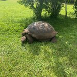 Photo taken by Hale S