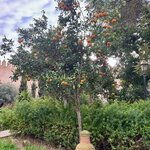 Photo taken by Jennifer M