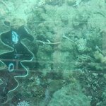 Photo taken by Dan J