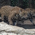 Photo taken by Jason C