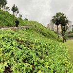 Photo taken by Mike B