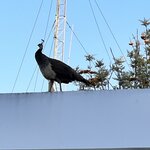 Photo taken by Sallye M