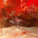 Photo taken by steve s