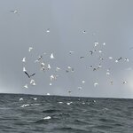 Photo taken by Karen S