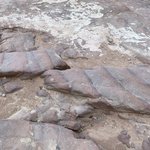 Photo taken by Daniela G