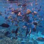 Photo taken by Dixie W