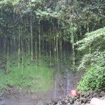 Photo taken by Pat K