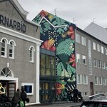 Photo taken by Mike D