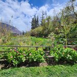 Photo taken by Alexandria T