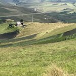 Photo taken by Vicki Lynn M