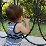 Photo taken by Ray M