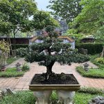 Photo taken by Susan R