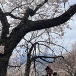 Photo taken by Marianne O