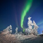 Photo taken by Ellyn V