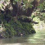 Photo taken by Ora Y