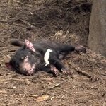 Photo taken by Gina L