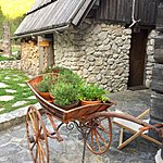 Photo taken by Dianne W