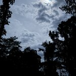 Photo taken by Edit M