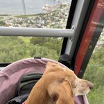 Photo taken by Krissy S