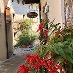 Photo taken by Danielle C