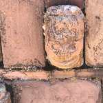 Photo taken by alton r