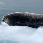 Photo taken by Noelle F