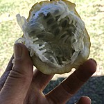 Photo taken by Brenna M