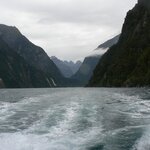 Photo taken by Iris W