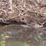 Photo taken by Darla D