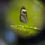 Photo taken by Matt P