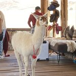 Photo taken by Kimberly A