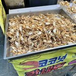 Photo taken by Kathleen N