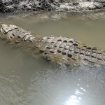 Photo taken by Alda Bernice M