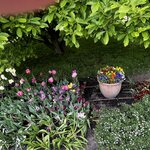 Photo taken by Sylvia S