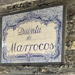 Photo taken by Helene M