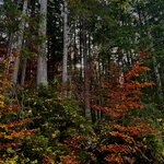 Photo taken by Patty L