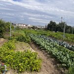 Photo taken by Crystall P