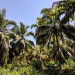 Photo taken by Martha V