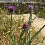 Photo taken by Brenda A