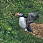 Photo taken by Scott C