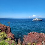 Photo taken by Lee B