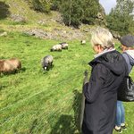 Photo taken by Michelle J