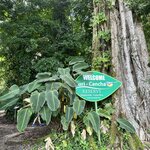 Photo taken by Lauren A