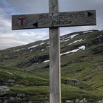 Follow the "T" | Photo taken by florence P